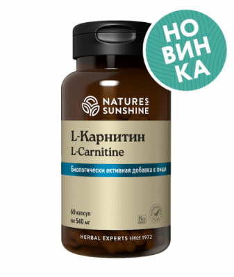 карнитин