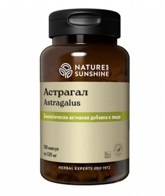 астрагал