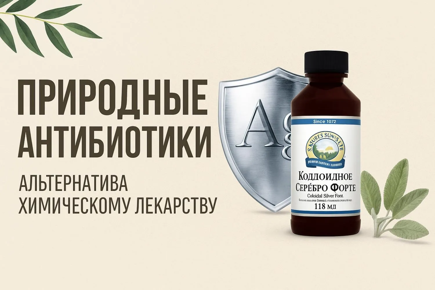ПРИРОДНЫЕ АНТИБИОТИКИ ПРИРОДНЫЕ АНТИБИОТИКИ
